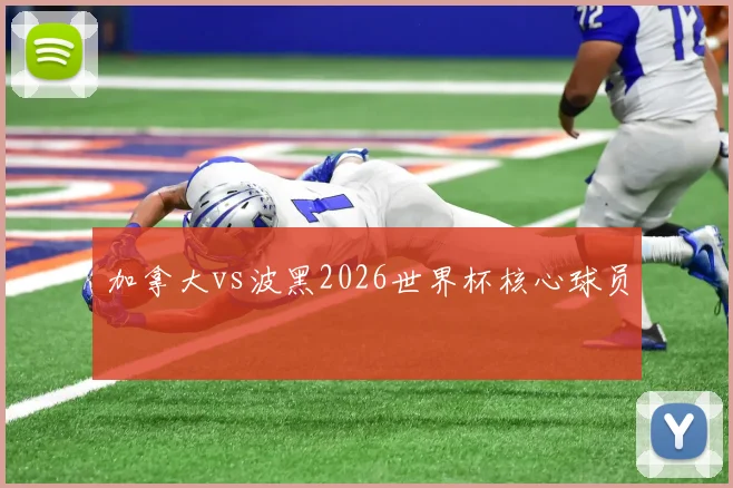 加拿大vs波黑2026世界杯核心球员