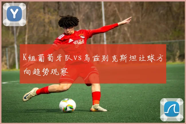 K组葡萄牙队vs乌兹别克斯坦让球方向趋势观察