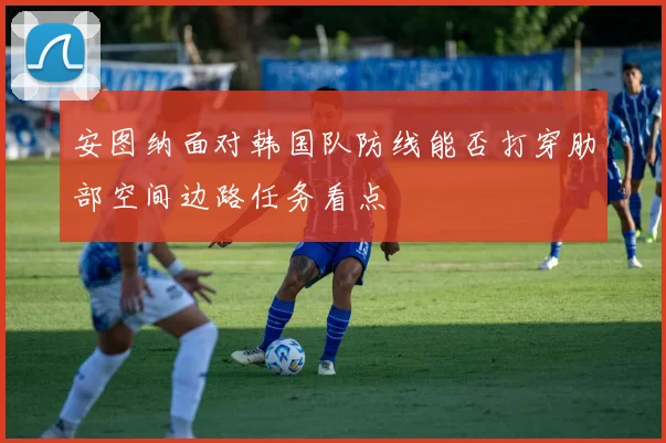 安图纳面对韩国队防线能否打穿肋部空间边路任务看点