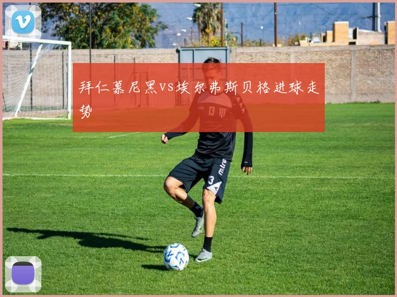拜仁慕尼黑vs埃尔弗斯贝格进球走势