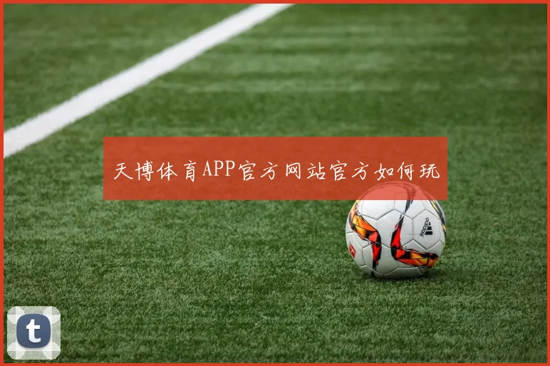 天博体育APP官方网站官方如何玩